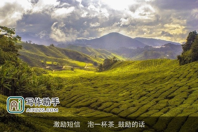 激励短信  泡一杯茶_鼓励的话