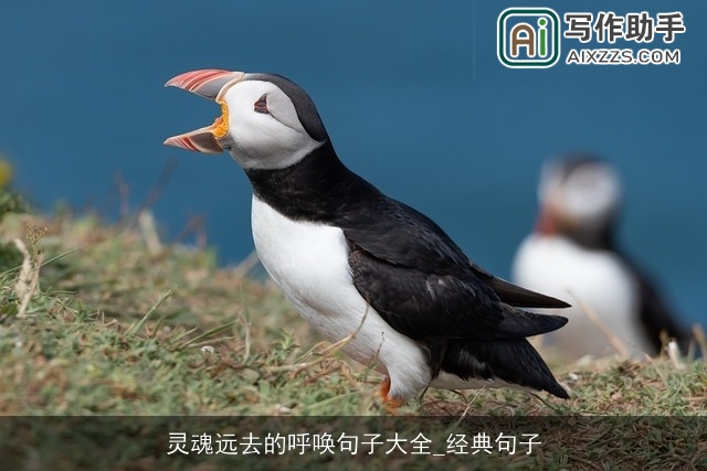 灵魂远去的呼唤句子大全_经典句子