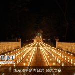 热爱和平励志日志_励志文章