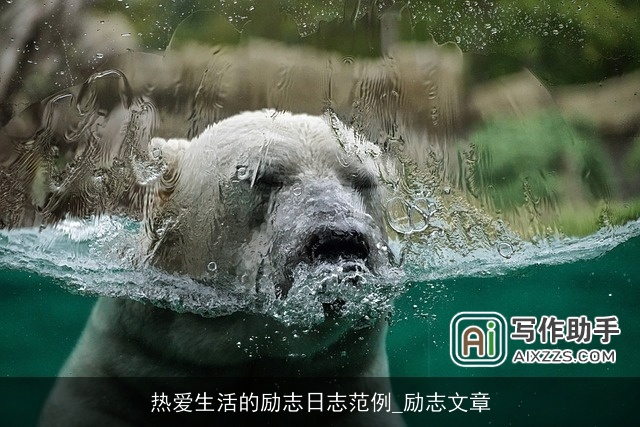 热爱生活的励志日志范例_励志文章