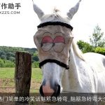 热门简单的冷笑话脑筋急转弯_脑筋急转弯大全