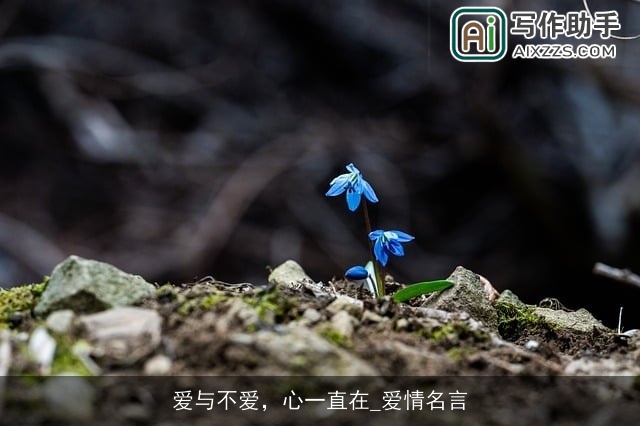 爱与不爱，心一直在_爱情名言