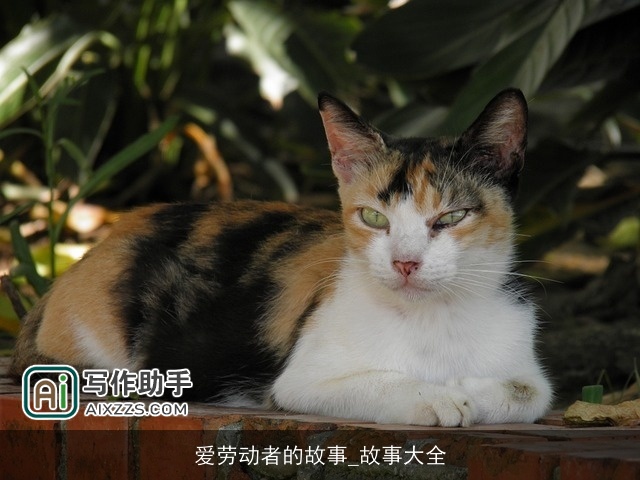 爱劳动者的故事_故事大全