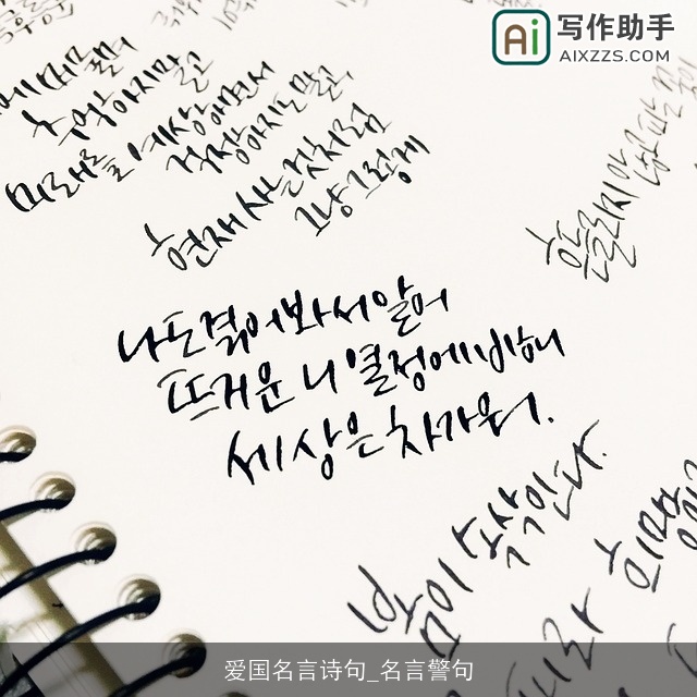 爱国名言诗句_名言警句