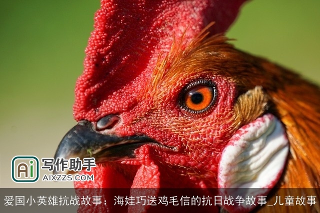 爱国小英雄抗战故事：海娃巧送鸡毛信的抗日战争故事_儿童故事