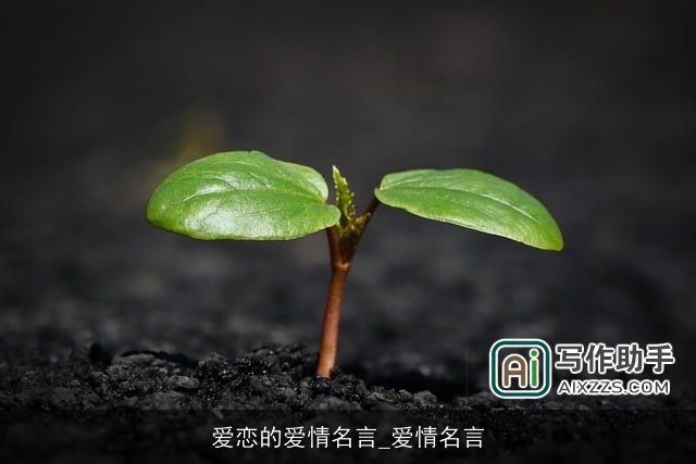 爱恋的爱情名言_爱情名言