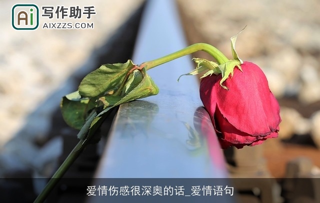 爱情伤感很深奥的话_爱情语句