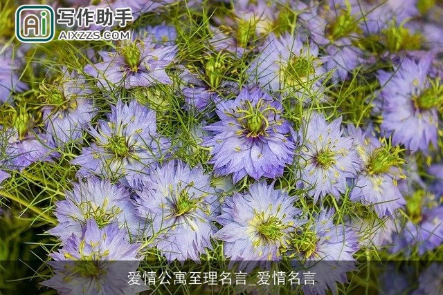 爱情公寓至理名言_爱情名言