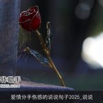 爱情分手伤感的说说句子2025_说说
