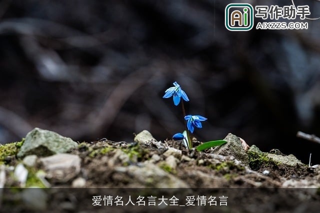 爱情名人名言大全_爱情名言