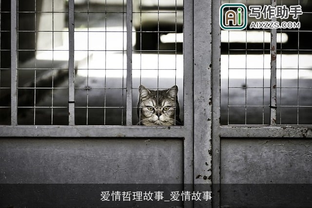 爱情哲理故事_爱情故事