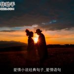 爱情小说经典句子_爱情语句