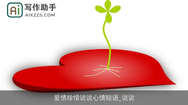 爱情珍惜说说心情短语_说说