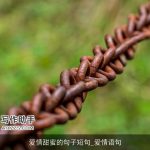 爱情甜蜜的句子短句_爱情语句