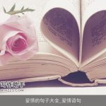 爱情的句子大全_爱情语句