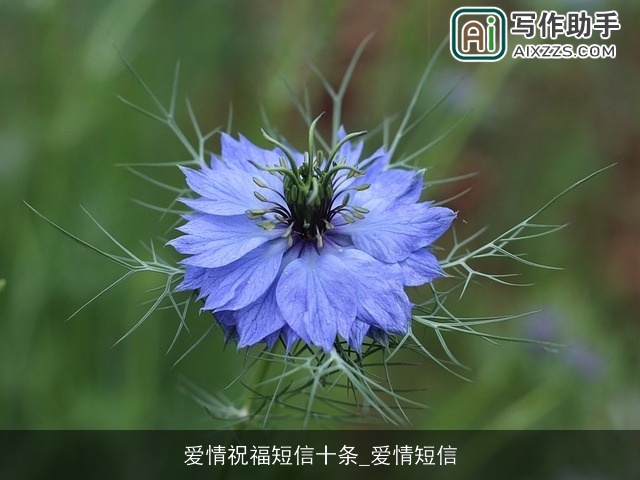 爱情祝福短信十条_爱情短信