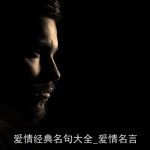 爱情经典名句大全_爱情名言
