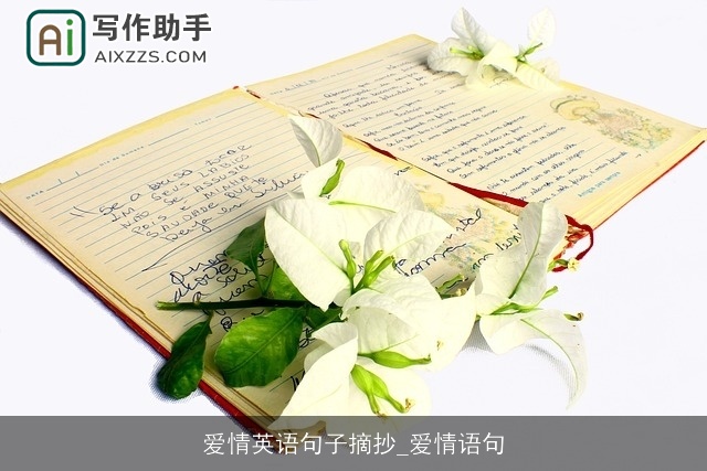 爱情英语句子摘抄_爱情语句