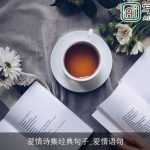 爱情诗集经典句子_爱情语句