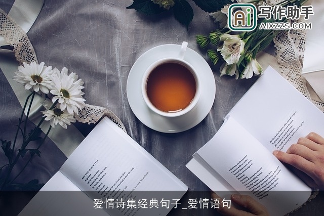 爱情诗集经典句子_爱情语句
