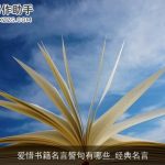 爱惜书籍名言警句有哪些_经典名言