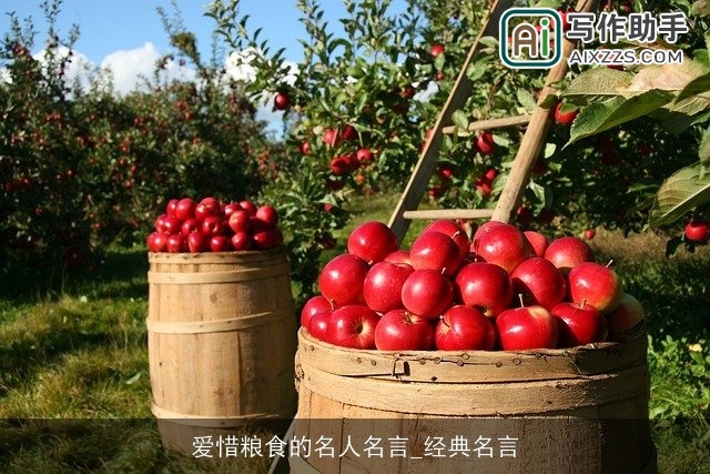 爱惜粮食的名人名言_经典名言