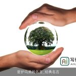 爱护鸟类的名言_经典名言