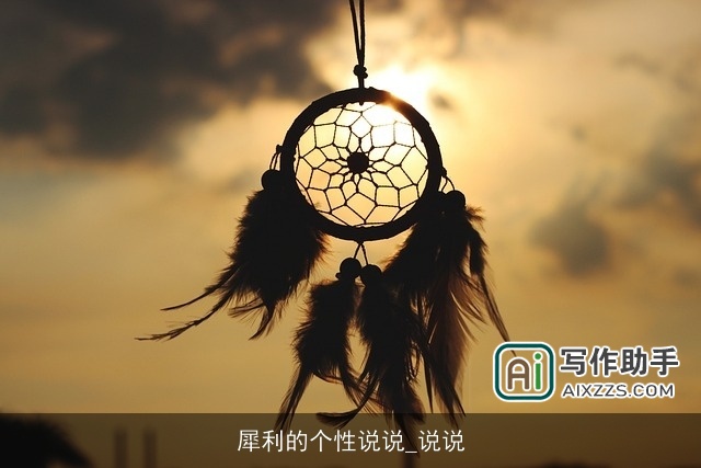 犀利的个性说说_说说