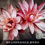 狗年公司拜年贺词大全_新年贺词