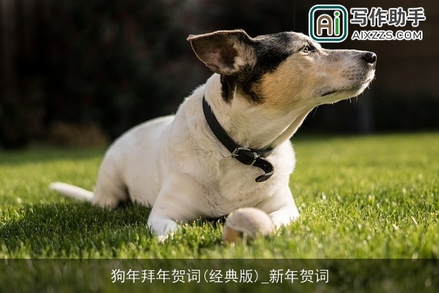 狗年拜年贺词(经典版)_新年贺词