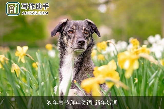 狗年春节拜年贺词_新年贺词