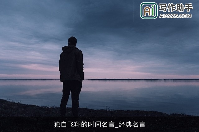 独自飞翔的时间名言_经典名言