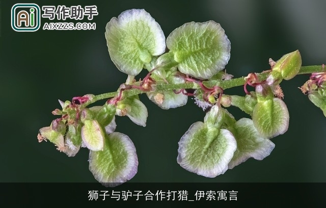 狮子与驴子合作打猎_伊索寓言