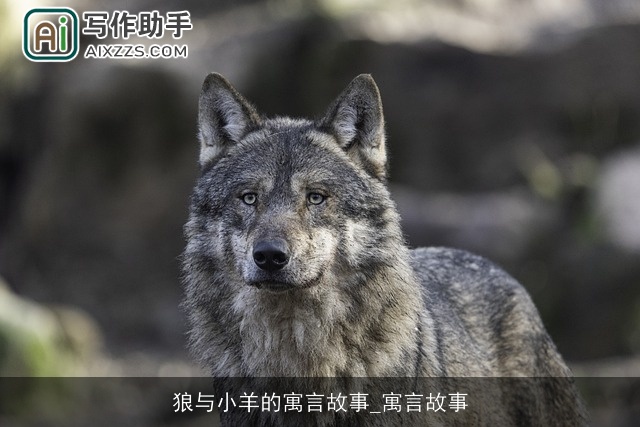 狼与小羊的寓言故事_寓言故事