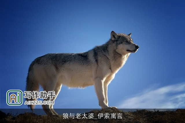 狼与老太婆_伊索寓言