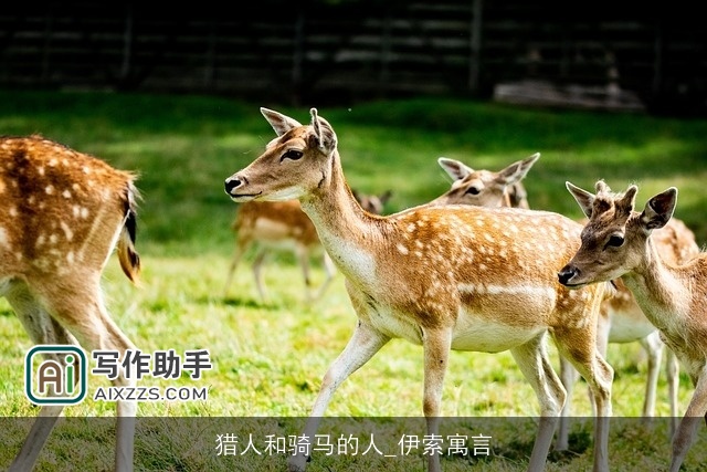 猎人和骑马的人_伊索寓言