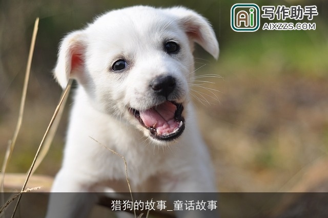 猎狗的故事_童话故事