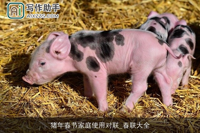 猪年春节家庭使用对联_春联大全