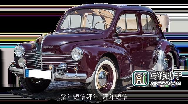 猪年短信拜年_拜年短信