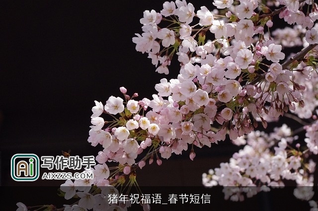 猪年祝福语_春节短信