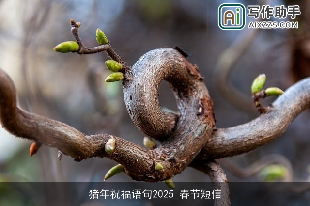 猪年祝福语句2025_春节短信