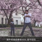 猪年祝福语集锦2025_春节短信