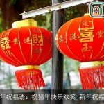 猪年祝福语：祝猪年快乐欢笑_新年祝福语
