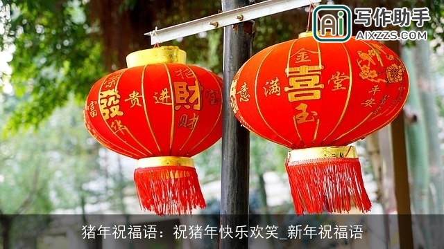 猪年祝福语：祝猪年快乐欢笑_新年祝福语