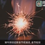 猪年辞旧迎新春节祝福语_春节短信