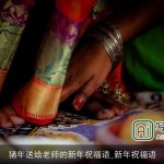 猪年送给老师的新年祝福语_新年祝福语