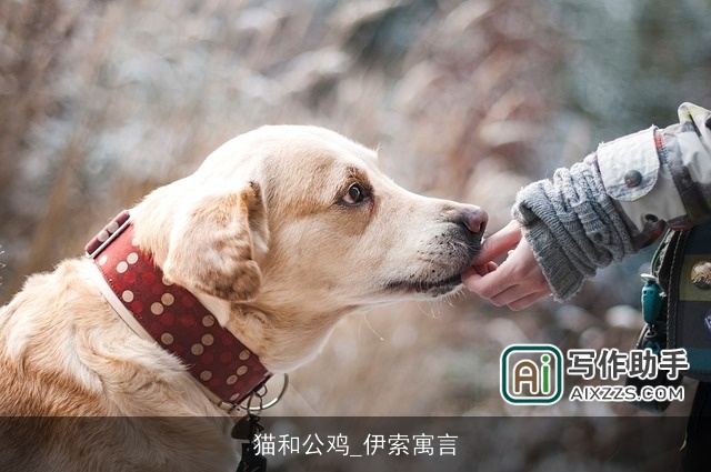 猫和公鸡_伊索寓言