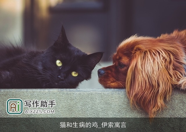 猫和生病的鸡_伊索寓言