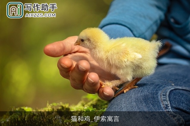 猫和鸡_伊索寓言