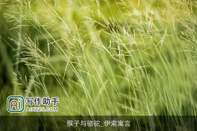猴子与骆驼_伊索寓言